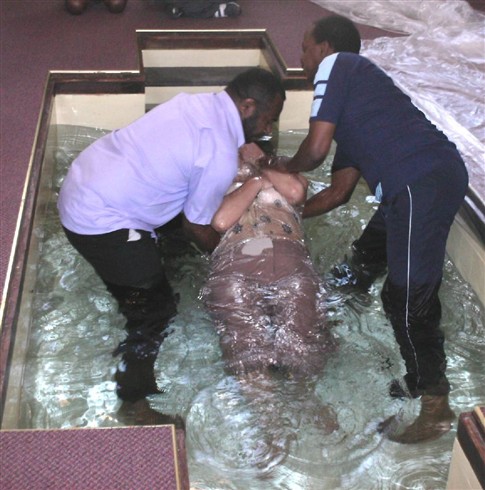 Baptism - Flora 3
