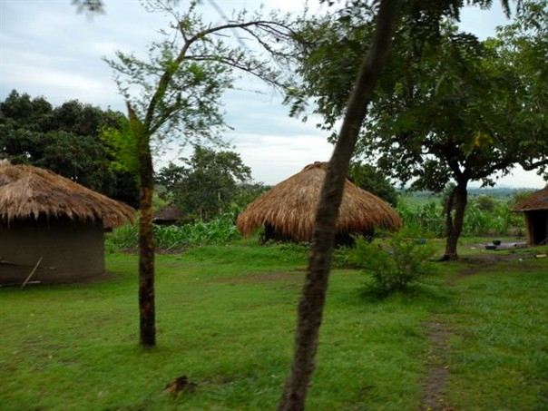 Africa 2011